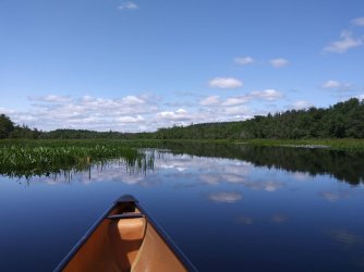 EAE4D8DB-2D23-425A-97C5-C6B59302C005.jpeg EAE4D8DB-2D23-425A-97C5-C6B59302C005.jpeg