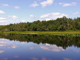 56E33BD4-203B-4CE0-88CC-6EA59F63636D.jpeg 56E33BD4-203B-4CE0-88CC-6EA59F63636D.jpeg