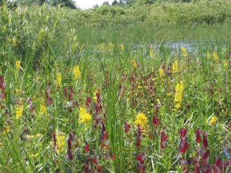 B3192EB3-177A-4E1E-BF5B-7194445F3E94.jpeg B3192EB3-177A-4E1E-BF5B-7194445F3E94.jpeg