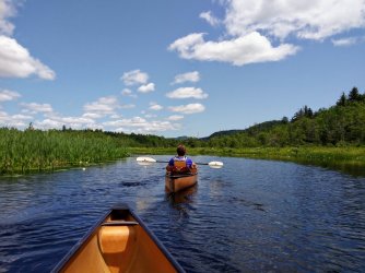 B0569282-CC4C-4A30-A923-18A1945977F9.jpeg B0569282-CC4C-4A30-A923-18A1945977F9.jpeg