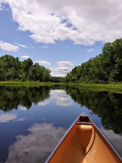 68EFD33D-BE5C-4941-B8E6-78D15154F983.jpeg 68EFD33D-BE5C-4941-B8E6-78D15154F983.jpeg