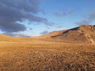 Alpine tundra on Hunchpack Pass