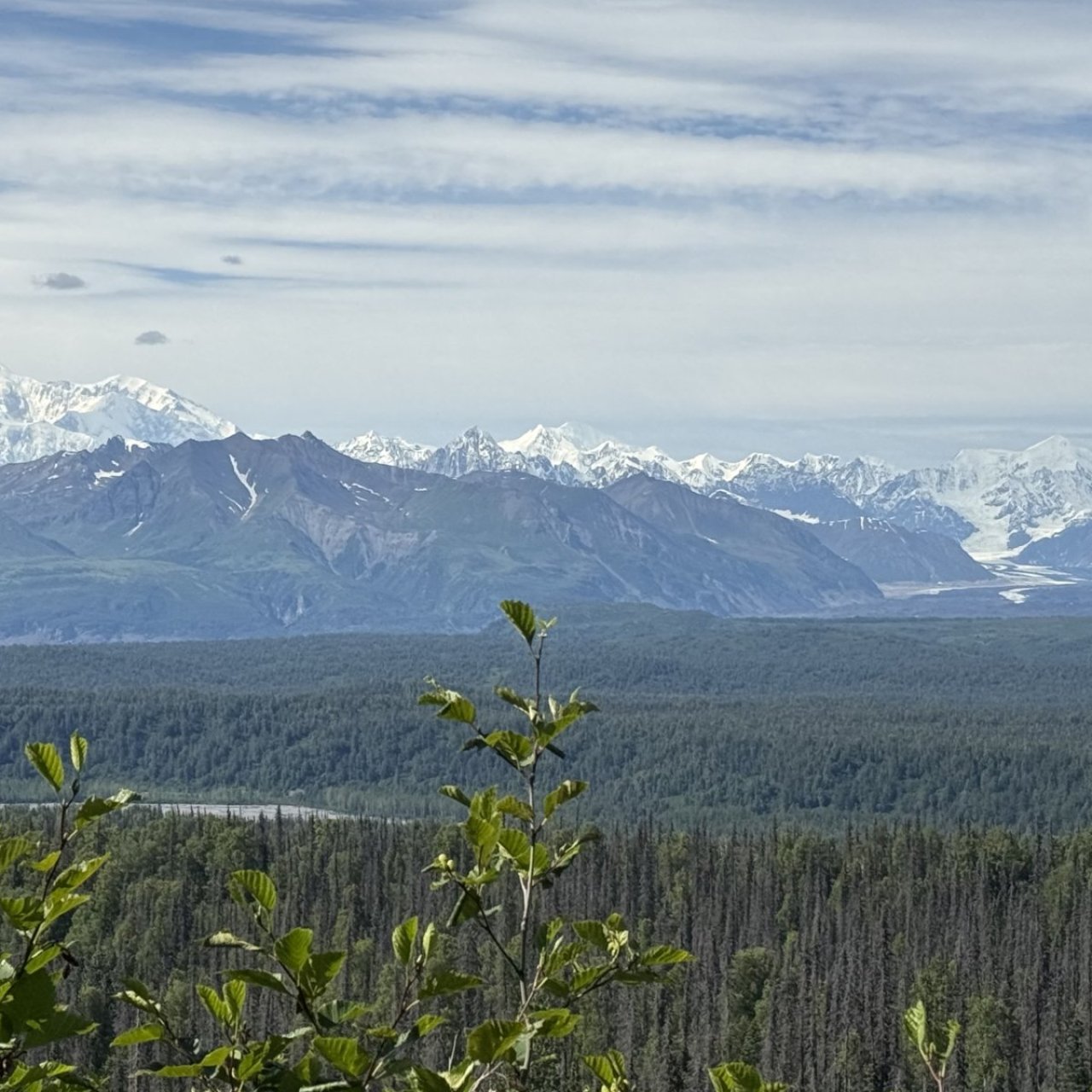 Thread 'Alaska - Pt. 1 - Kesugi Ridge Trail in Denali State Park'