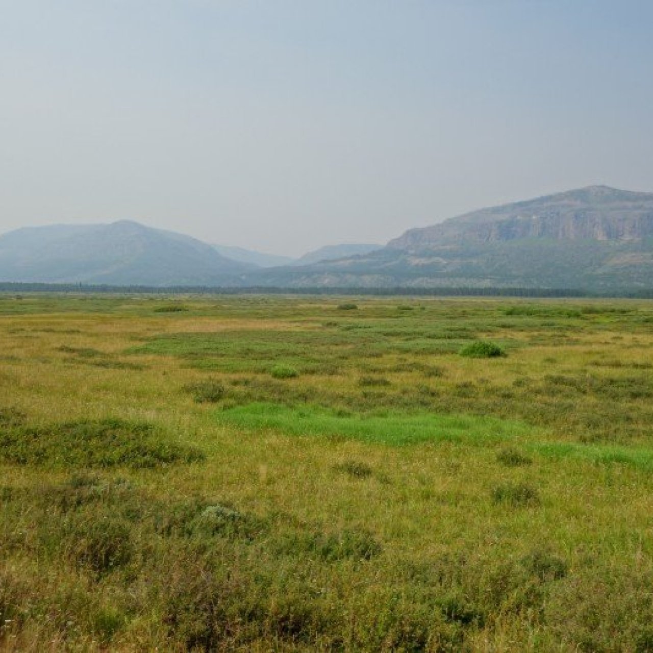 Thread 'Southeast Yellowstone Loop'