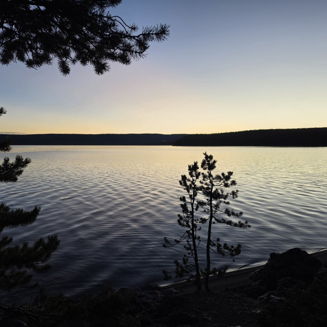 Thread 'Replay along Shoshone Lake'