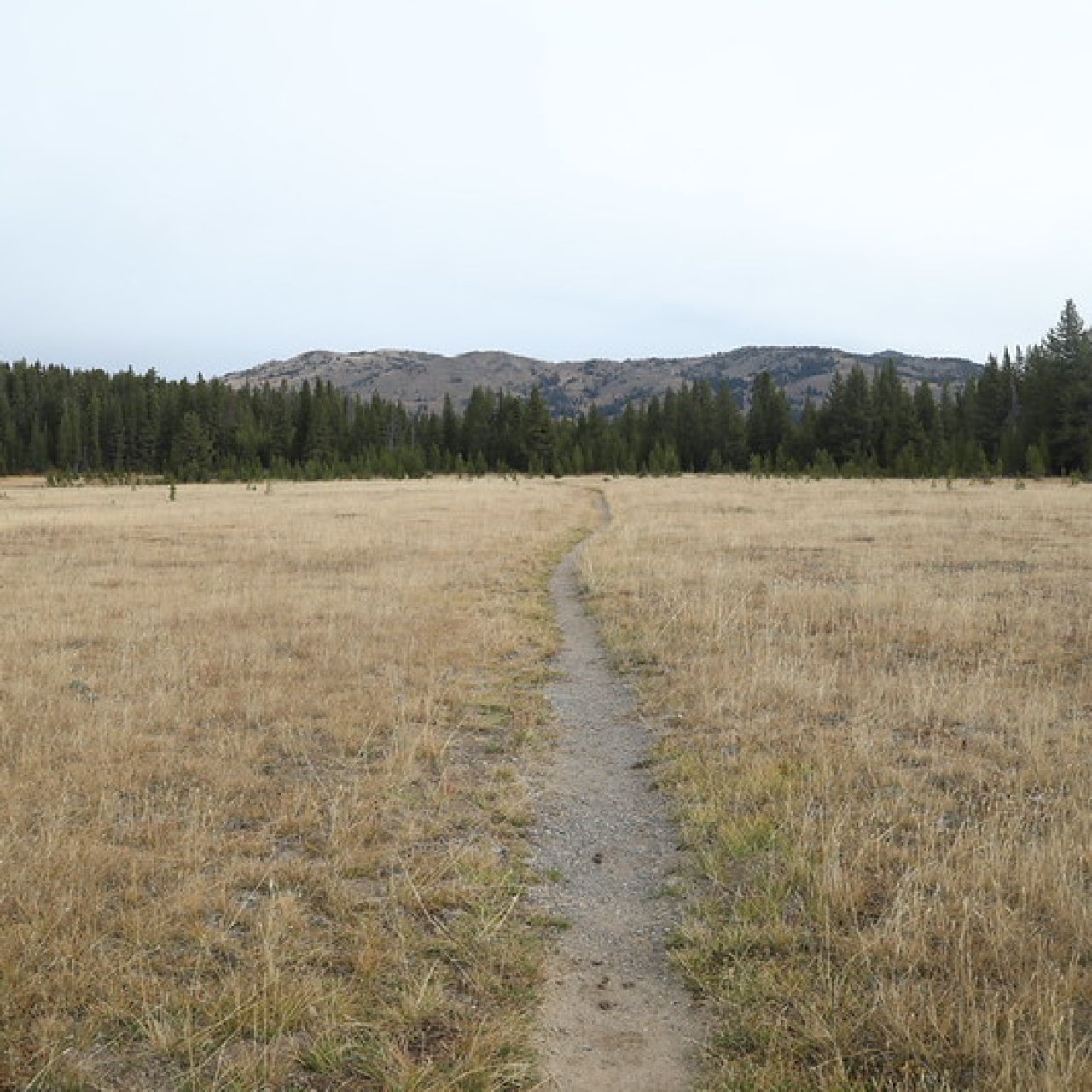 Thread 'Ice Lake, Mount Washburn and Observation Peak, Yellowstone National Park - September 25, 2026'