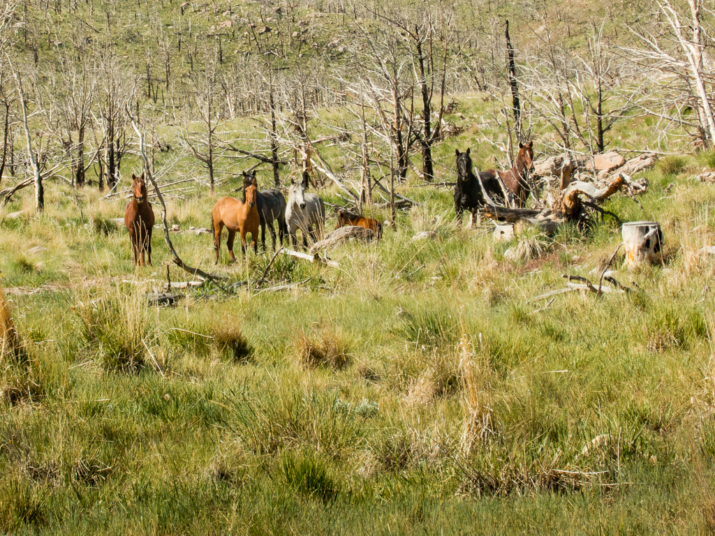 20130516_Wendover-STG_Offroad-363W.jpg