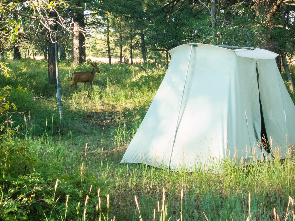 20130801_Elk%20Ridge_Camping-422W.jpg