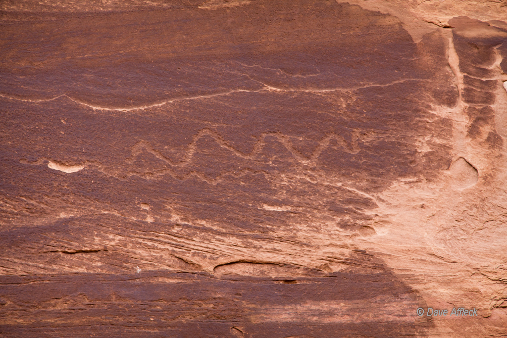 20140317_The%20Maze_Camping-630W.jpg