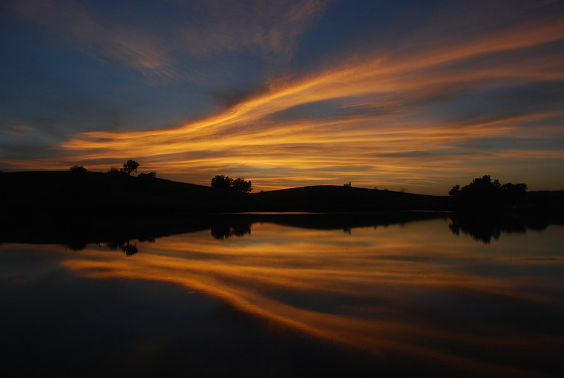 DSC_9511-L.jpg