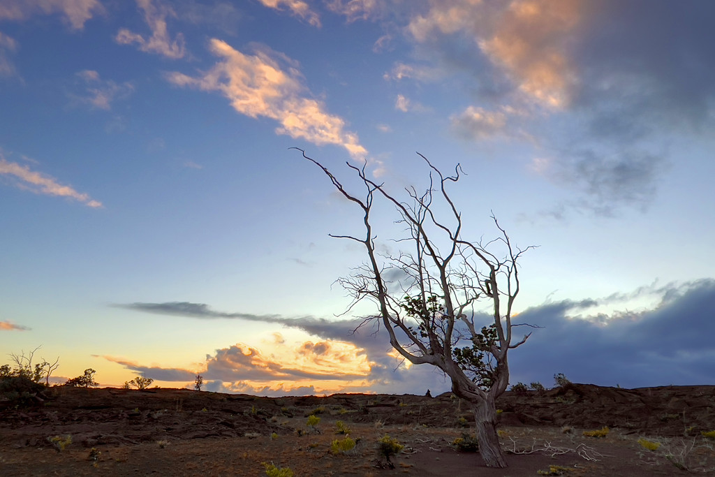 kaʻu%20sunset-XL.jpg