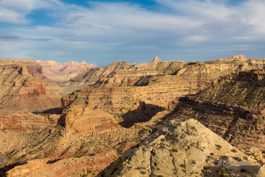 20140329_Swell_Camping-217-W.jpg