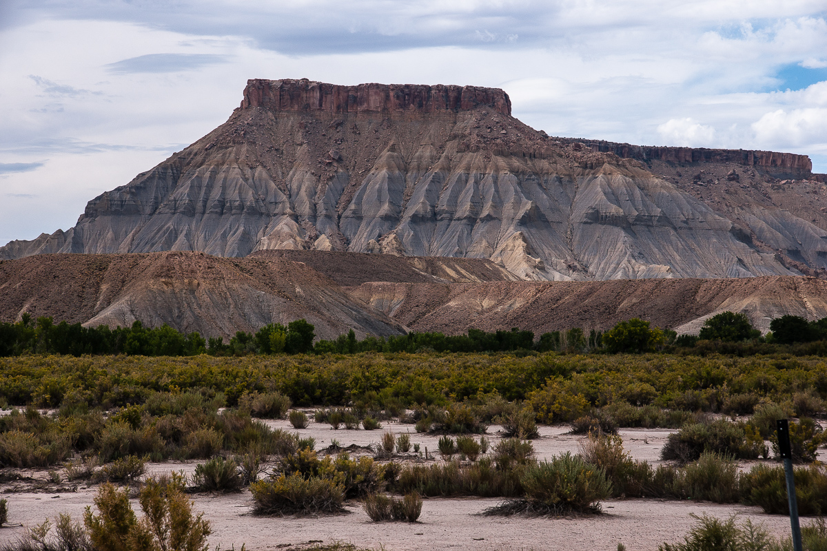 _DSC1414_12.jpg