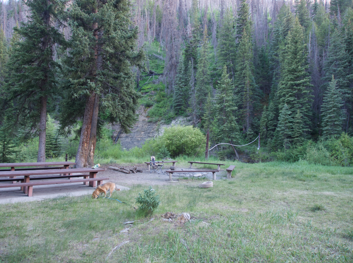 2M-yTr_DV0-1200x1200.png
