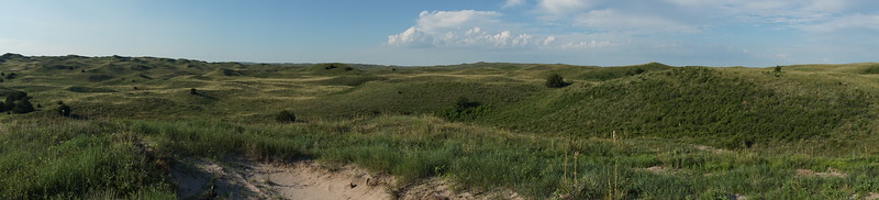 DSC00721-L.jpg