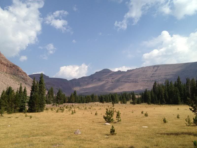 IMG_0870.jpg