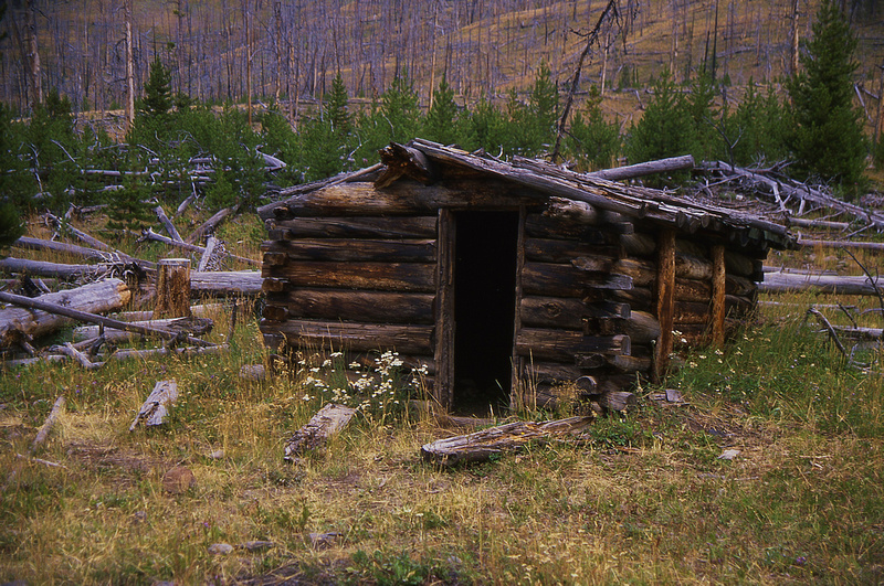 p349338881-4.jpg