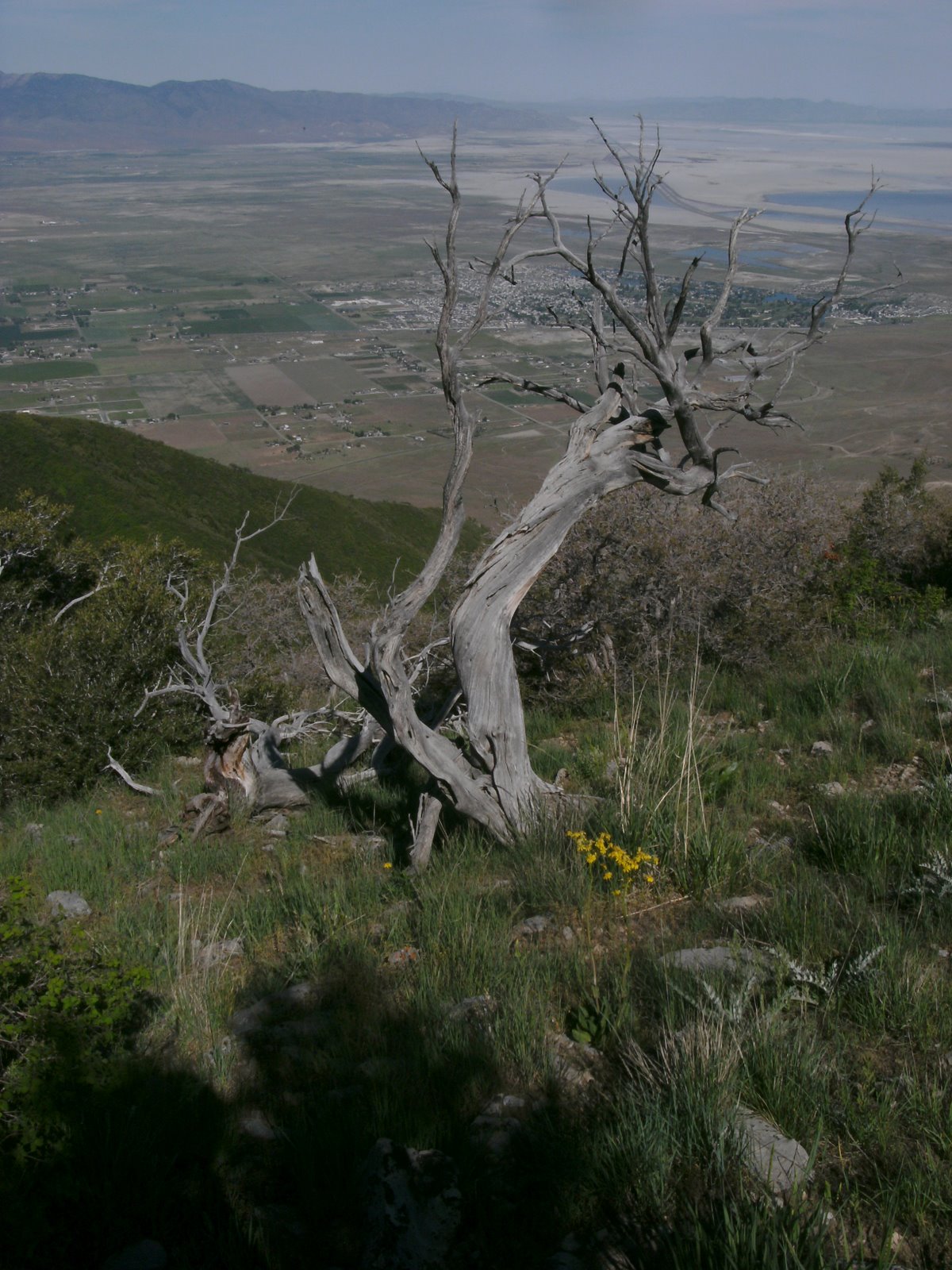 pict06141.jpg