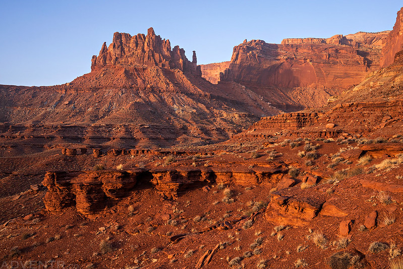 50921154937_9c557da558_c.jpg