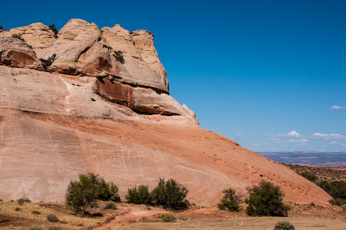 _DSC2459_12.jpg