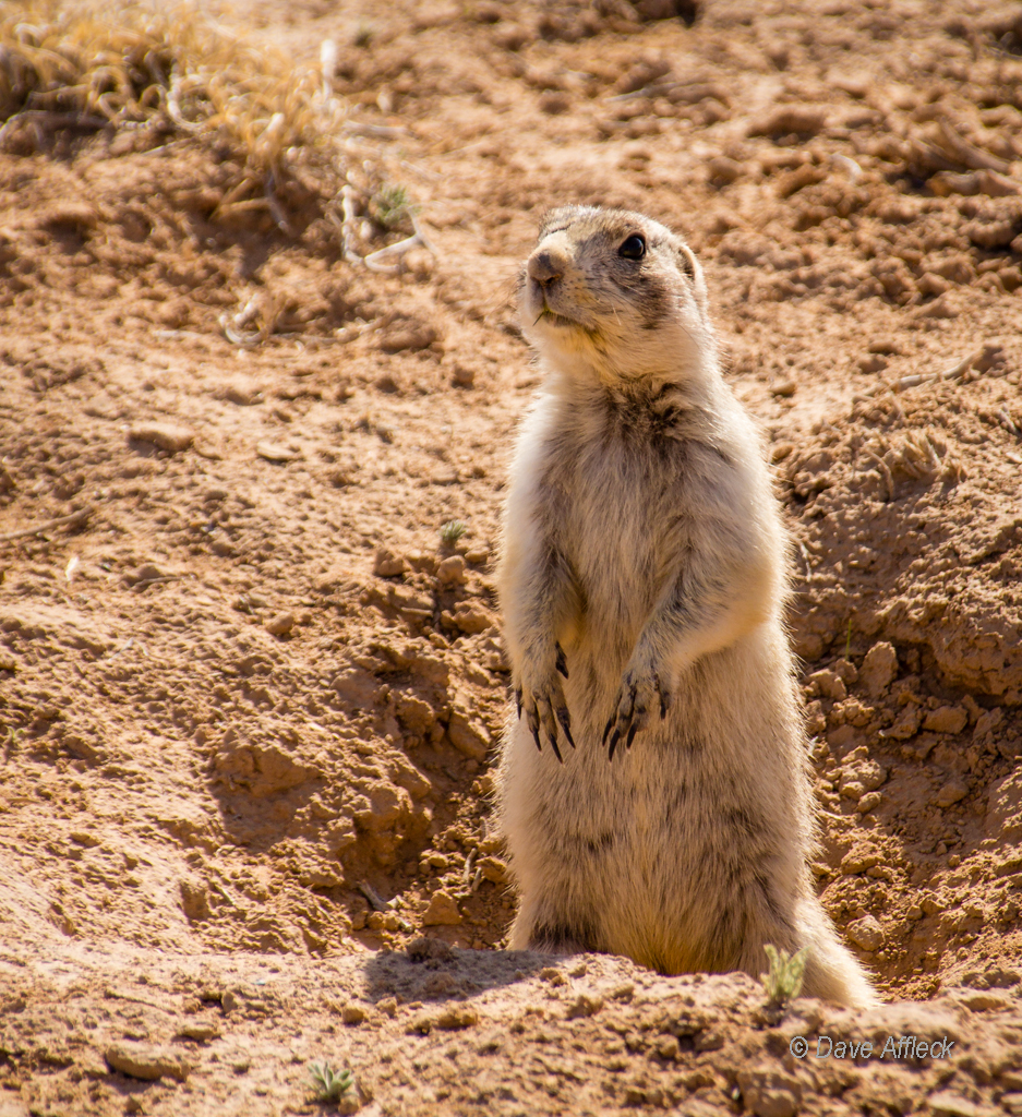20140329_Swell_Camping-51W.jpg