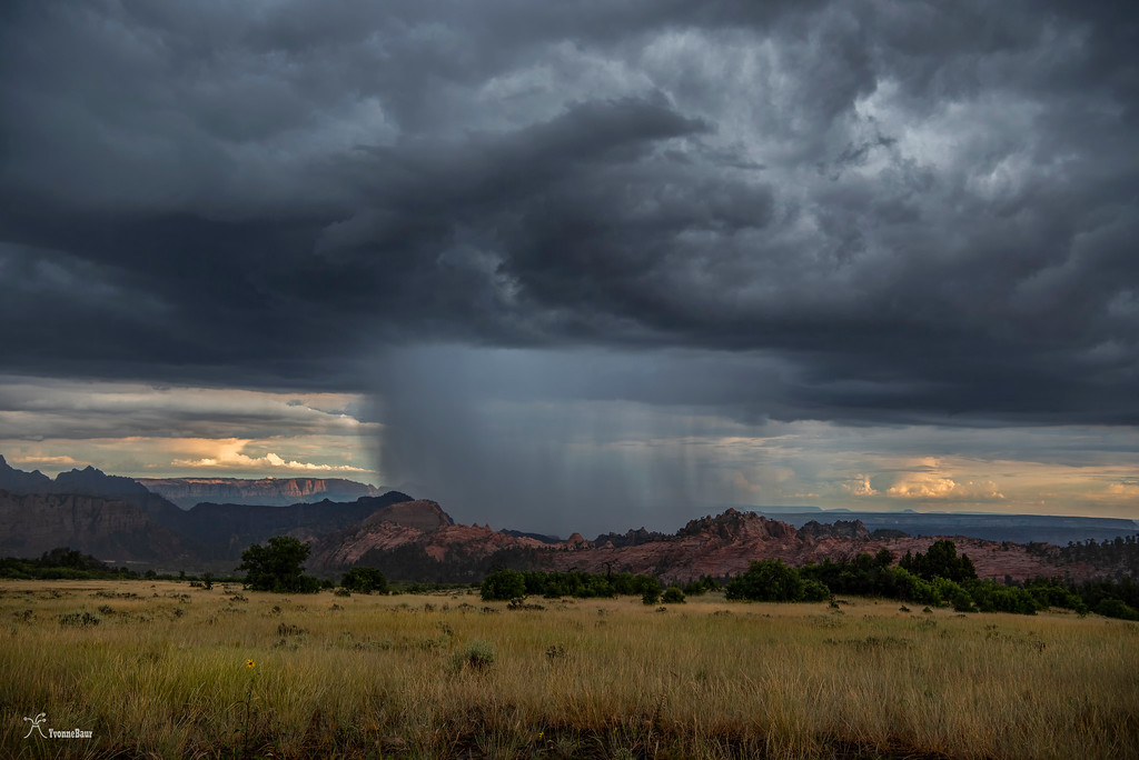 downburst%20copy-XL.jpg