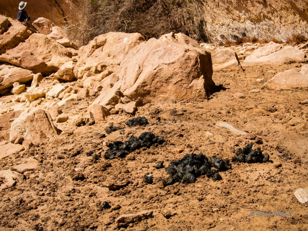 20140501_Salt%20Creek_Backpacking-129W.jpg