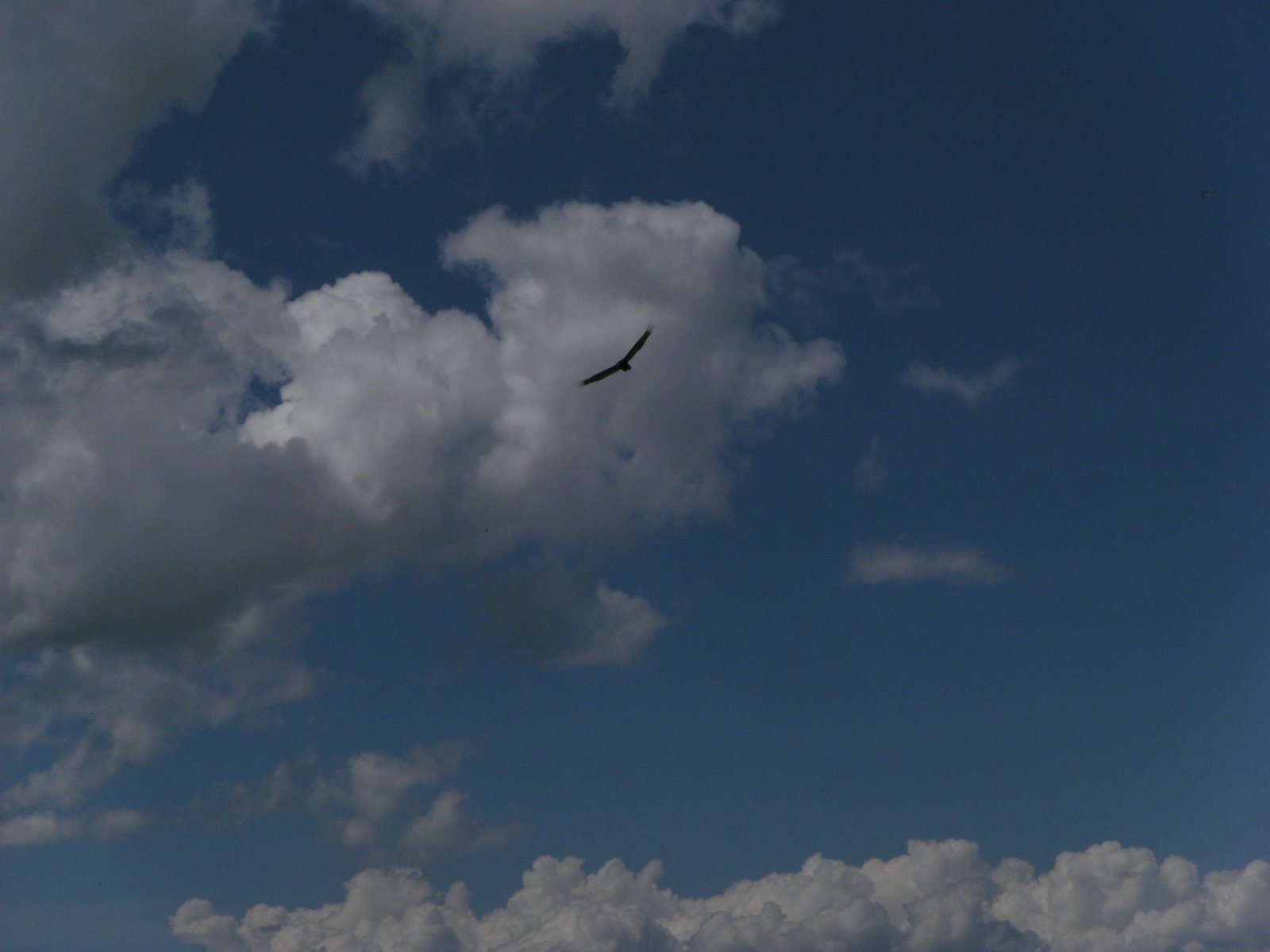 pict06291.jpg