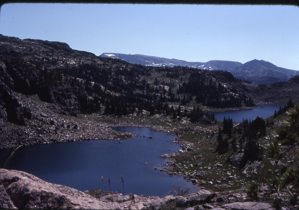 53529561486_0001c905d7_b.jpg