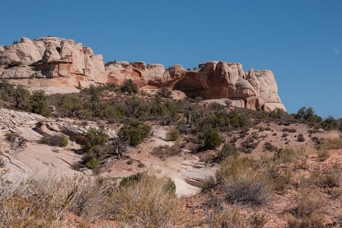 _DSC2456_12.jpg