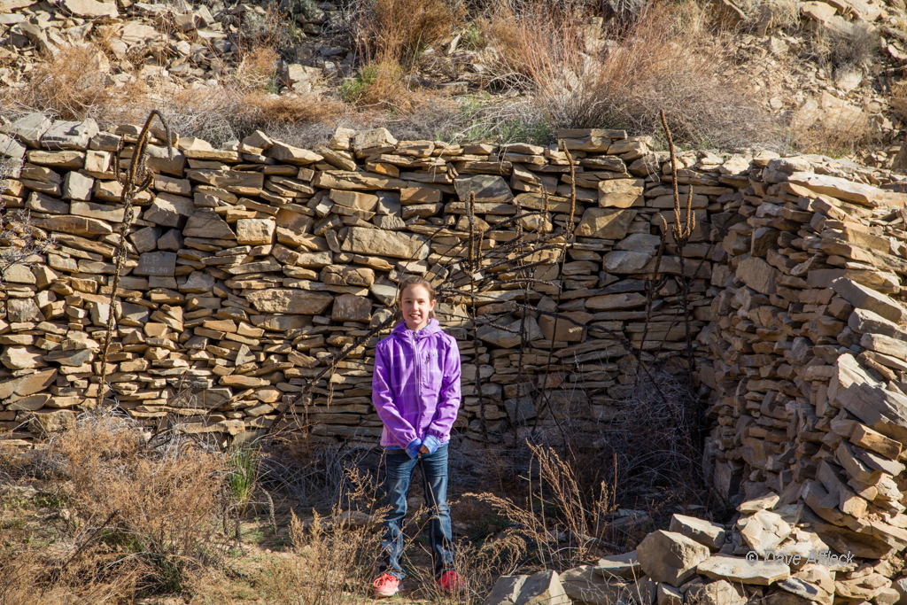 20140329_Swell_Camping-18W.jpg
