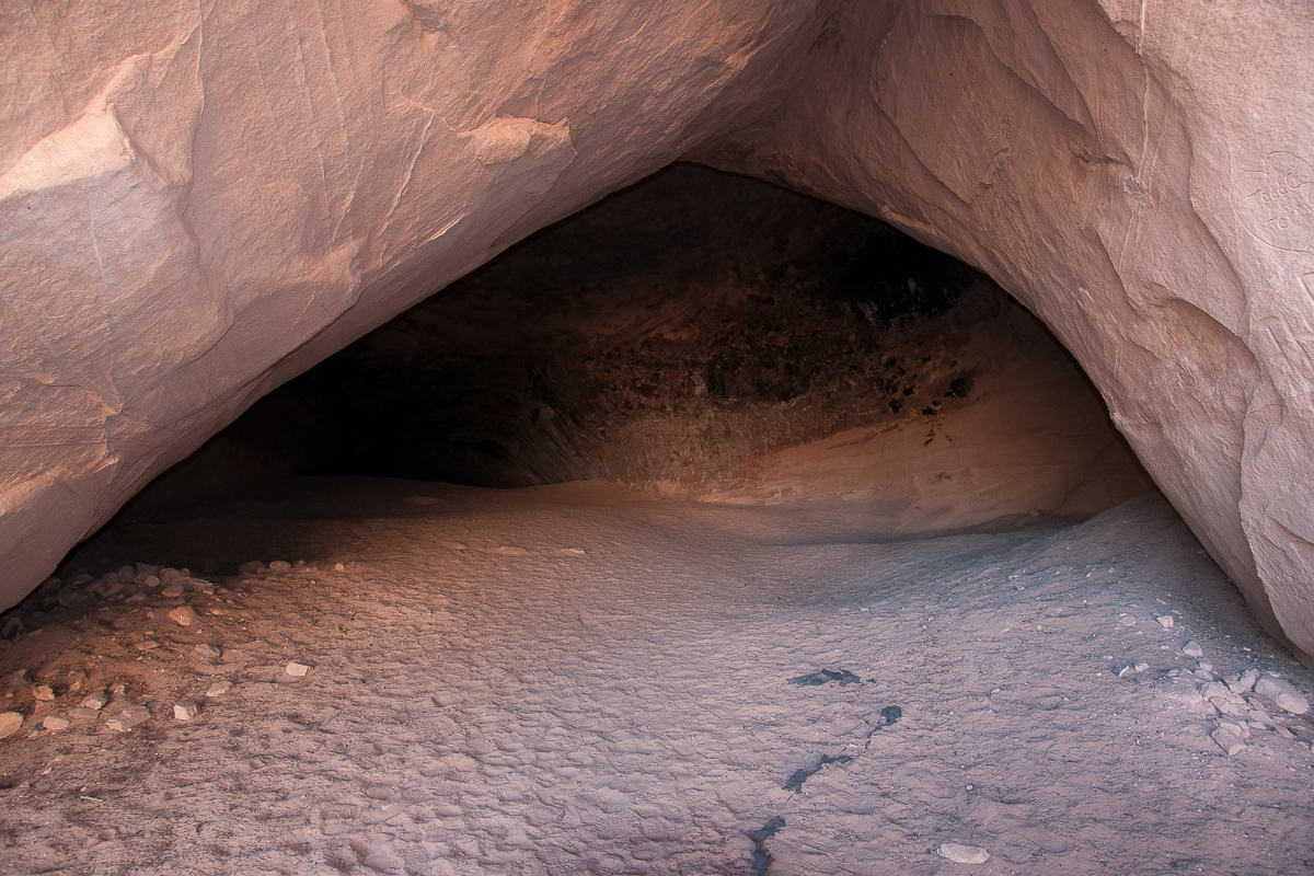 _DSC2469_12.jpg