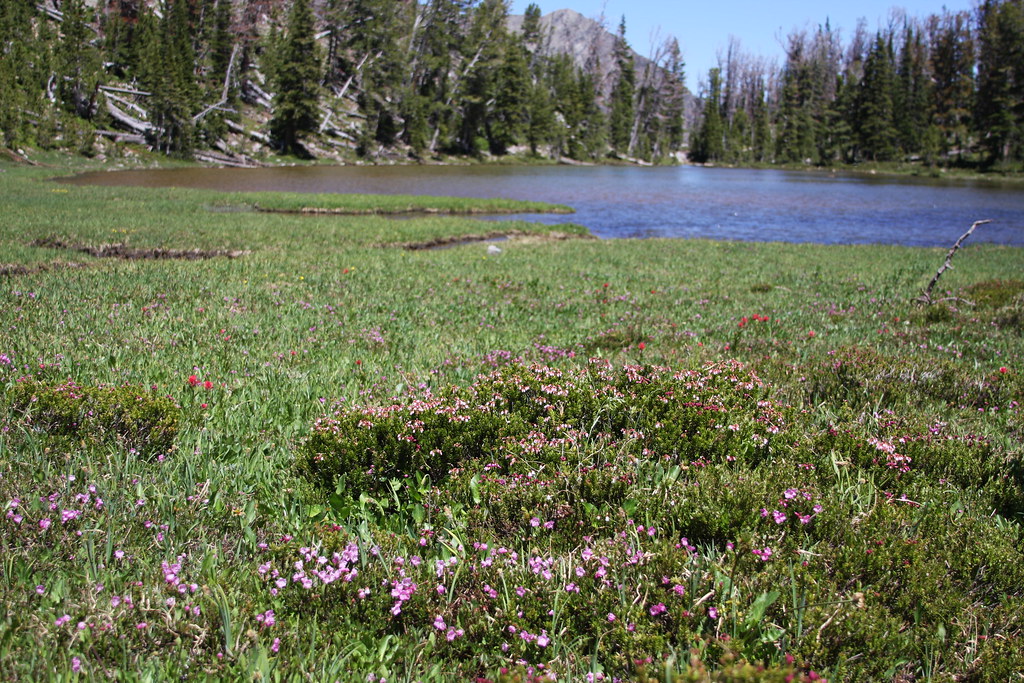 15309201060_8b04efbf35_b.jpg