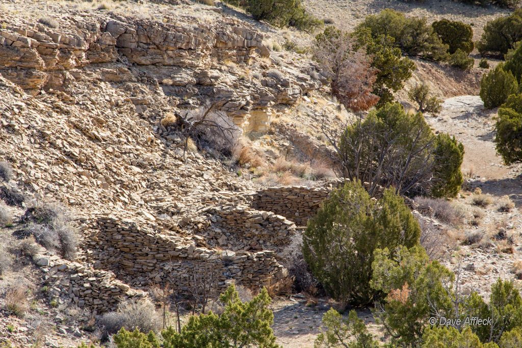 20140329_Swell_Camping-16W.jpg