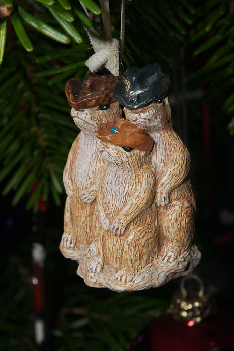 DSC01391_8.jpg