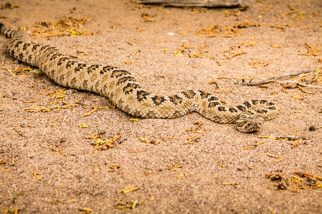 20130516_Wendover-STG_Offroad-118W.jpg