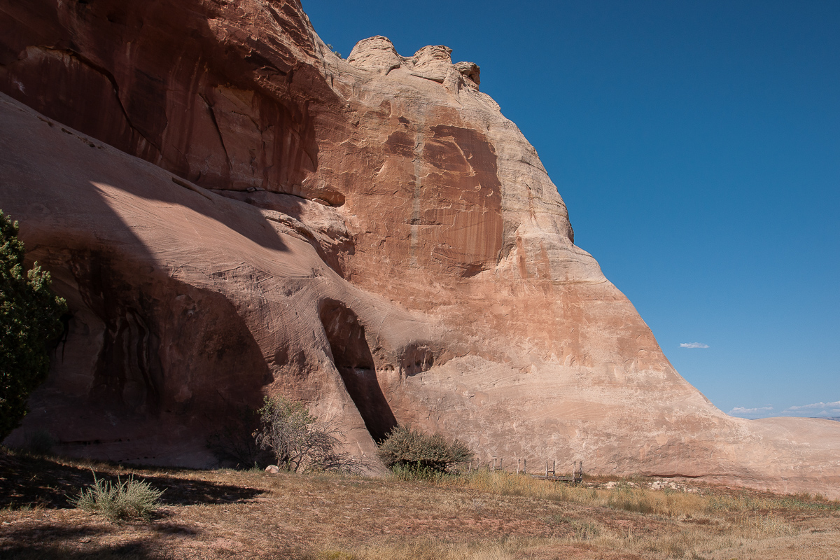 _DSC2492_12.jpg