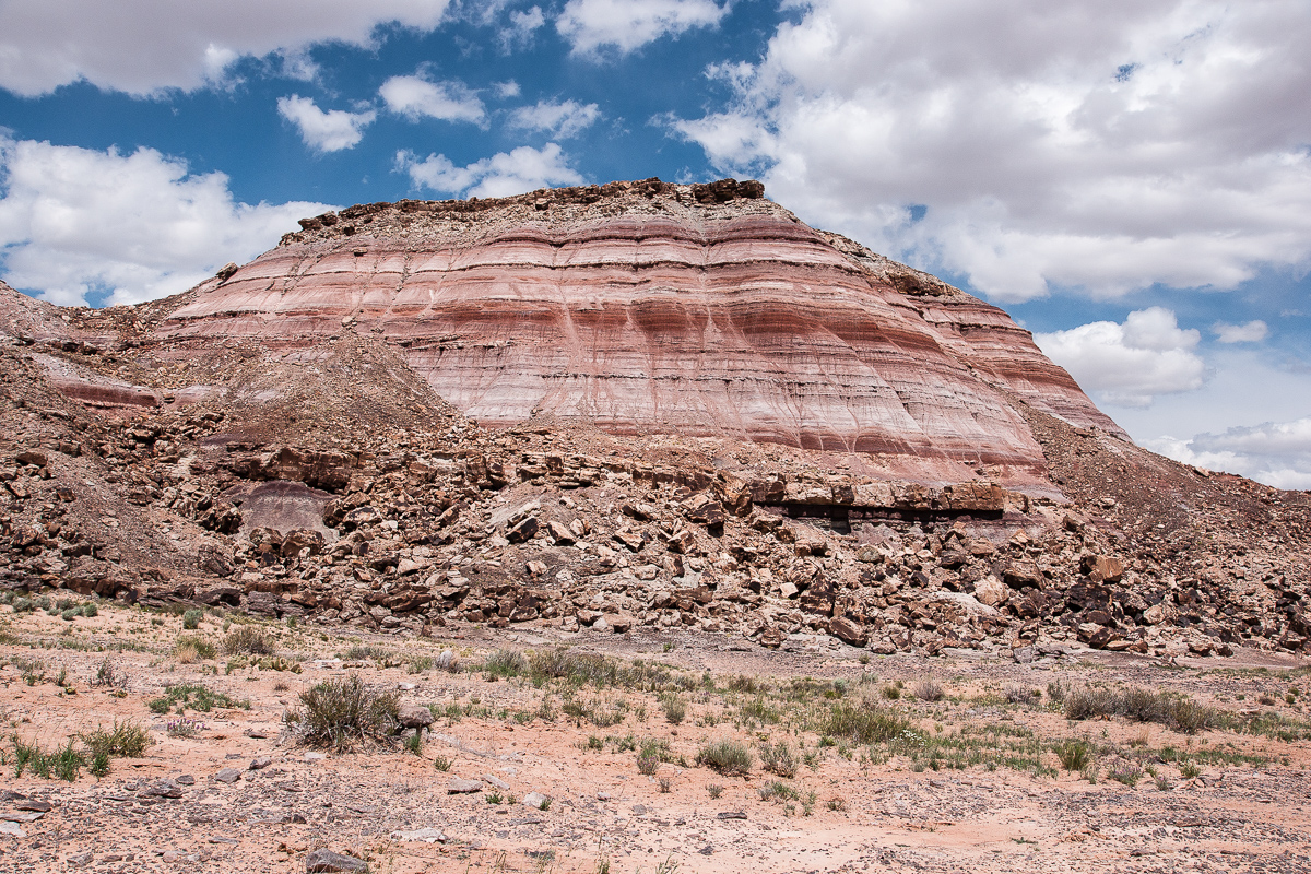 Utah: Green River, Fossil Point | Backcountry Post