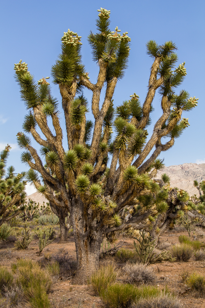 20130516_Wendover-STG_Offroad-239W.jpg