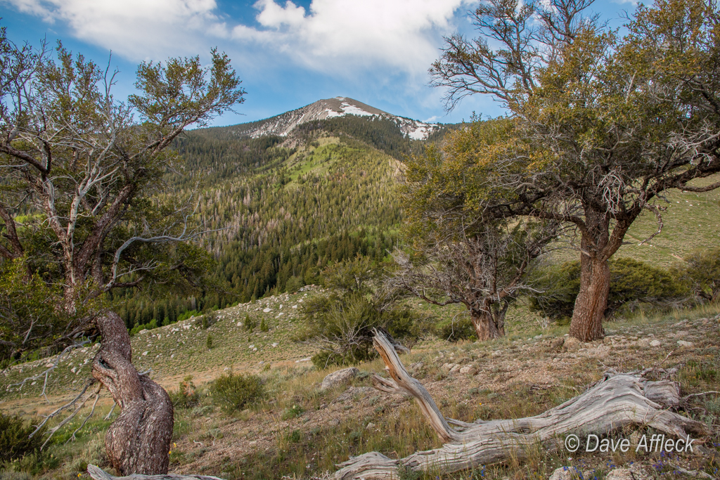 20140605_Deep%20Creeks_Camping-359W.jpg