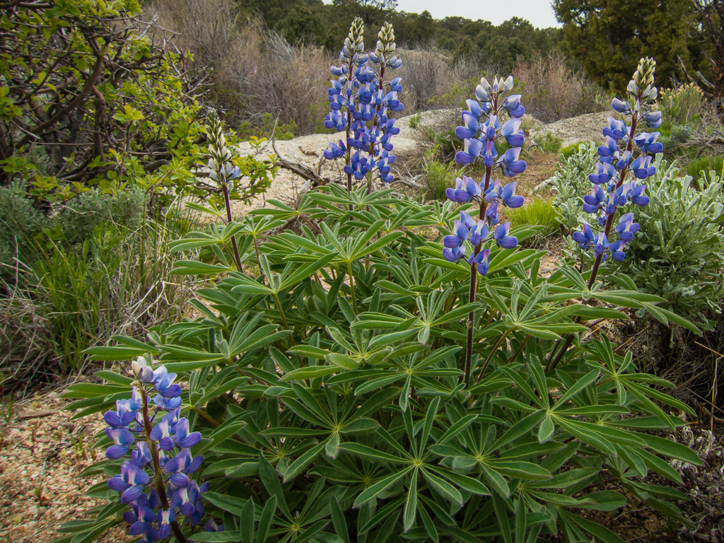 20130516_Wendover-STG_Offroad-314W.jpg