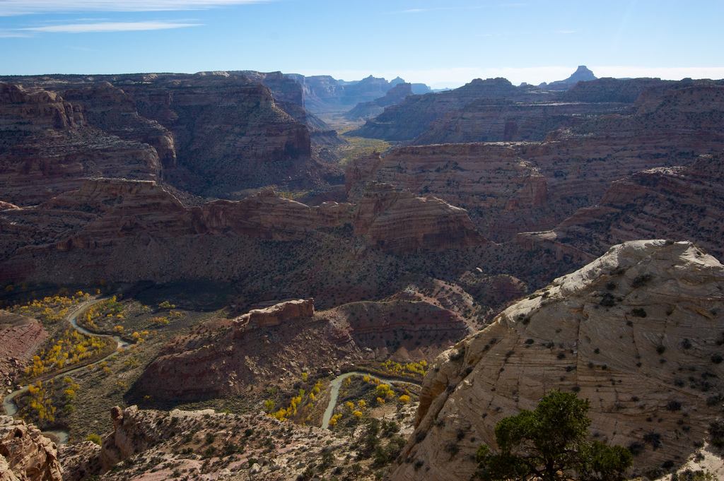 Taking pictures - Picture of Wedge Overlook & Buckhorn Draw