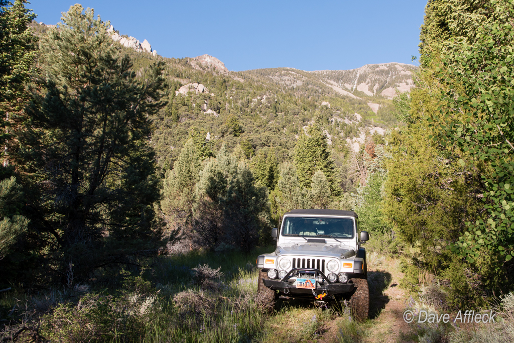 20140605_Deep%20Creeks_Camping-1312W.jpg