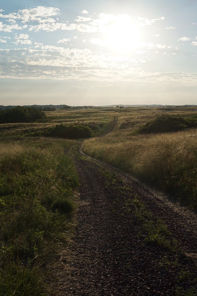 DSC00630-L.jpg