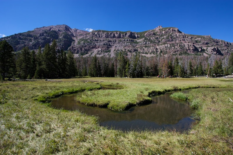 MEADOW STREAM FISHING