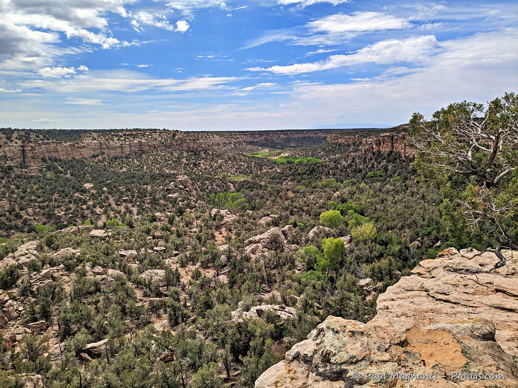 52918951858_8980531f35_b.jpg