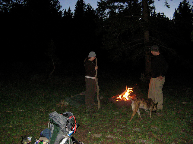 5416698501_7ff58cd284_z.jpg