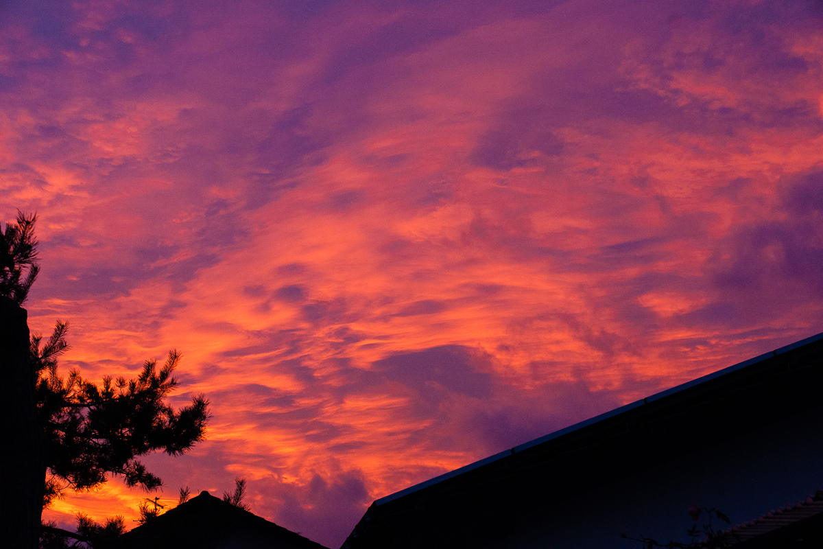 DSC02406_12.jpg