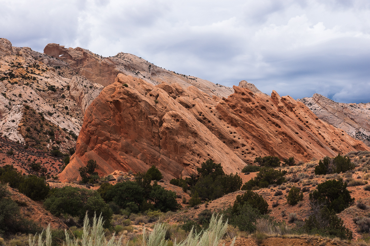 _DSC1426_12.jpg