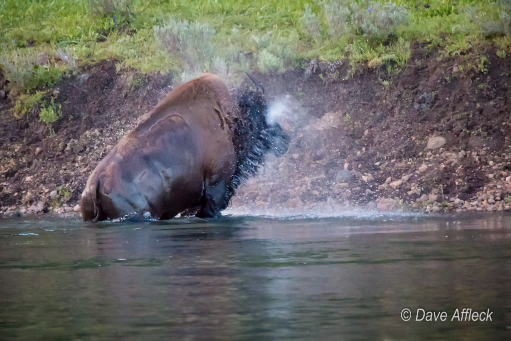 20140620_Yellowstone_Vacation-1255W.jpg